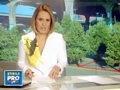 De vanzare: brazi in ghiveci pentru Craciun. Costa pana la 170 lei/bucata