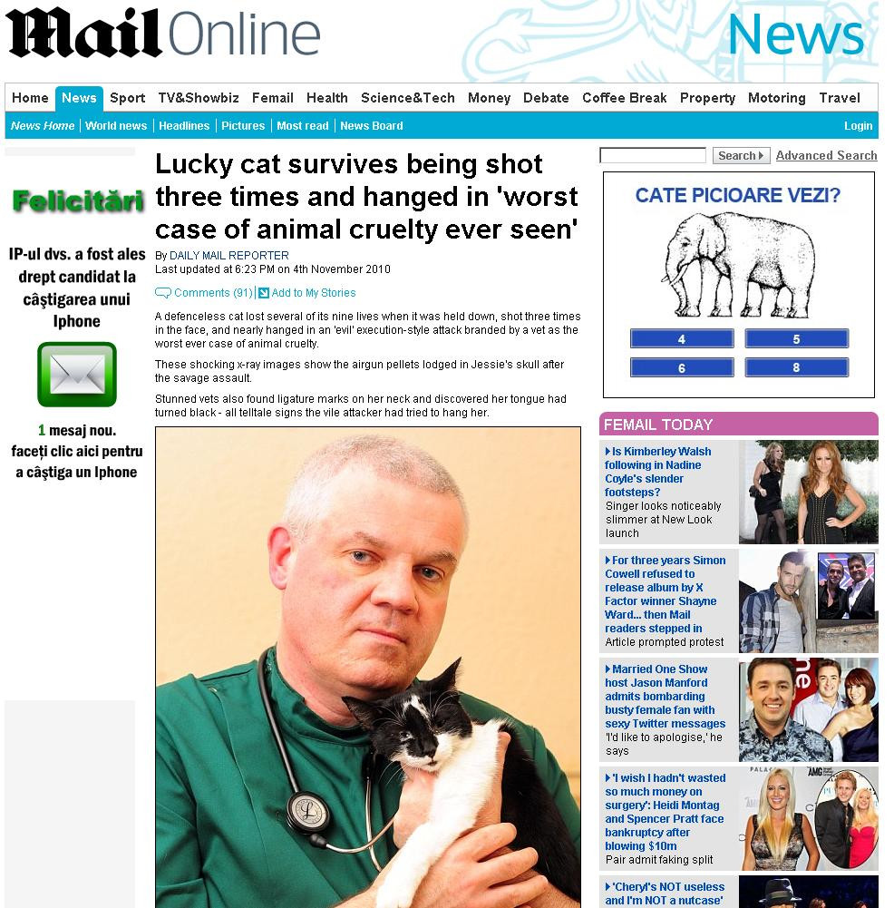 Fara suflet! A impuscat o pisica de trei ori, apoi a spanzurat-o