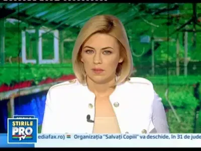 Super afacere! Plantezi flori, ai incasari de 12 milioane de euro pe an