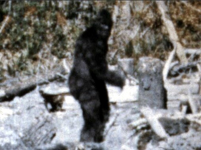Bigfoot, filmat in toate colturile lumii. Dovezile ca monstrul exista. VIDEO