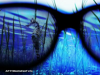 Sa tot inveti la facultate! Studentii din Iasi au parte de cursuri 3D