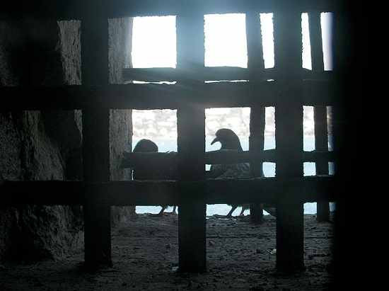 Omul cu masca de fier