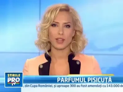 Tinerii japonezi isi cauta locuri de munca in China