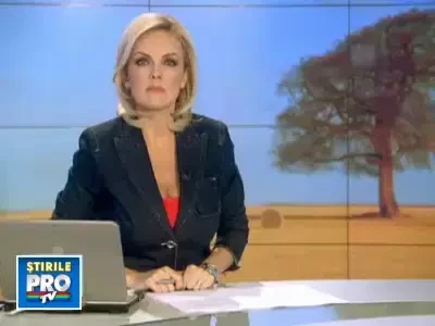 Prea cald! Albinele ies la cules de polen, ursii isi parasesc barlogurile