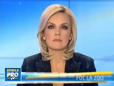 Au construit un hotel de 15 etaje in doar sase zile!