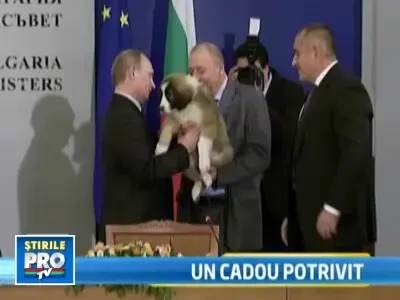 Putin a primit un pui de ciobanesc de la premierul bulgar