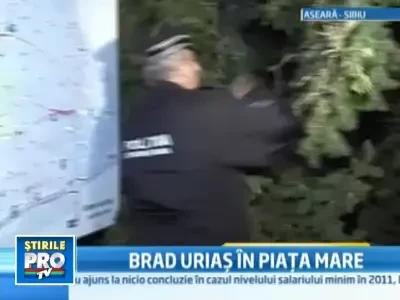 Sibienii sunt in asteptarea Craciunului: impodobesc deja bradul