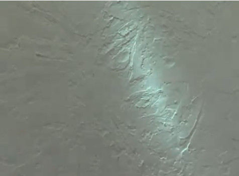 Minune sau scenariu SF? Fecioara Maria pe un perete dintr-o frizerie! VIDEO