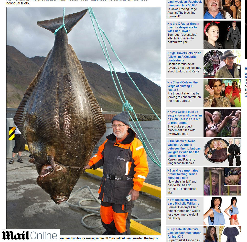 A prins monstrul din ocean! Pestele din care se pot pregati 1.000 de mese