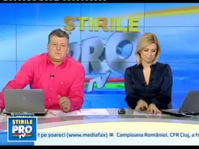 Sera pe verticala, locul unde plantele cresc una peste alta