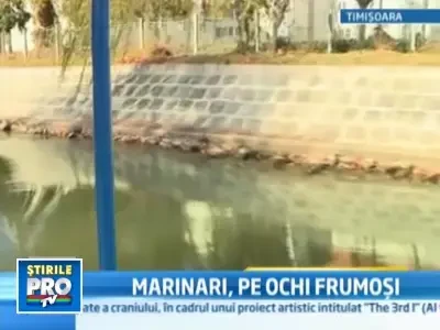 Vrei sa fii in pas cu moda? Trebuie sa ai neaparat brevet de marinar