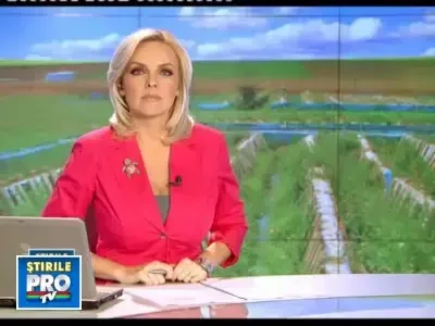 In Romania nici comertul cu carne de melc nu mai merge