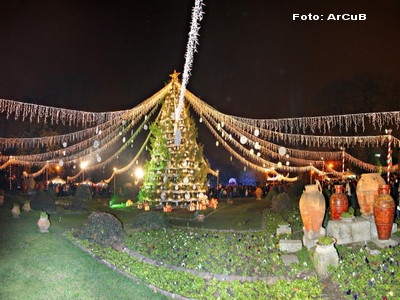 Bucurestiul a aprins luminile de Craciun! Vezi ce orase fac economie!