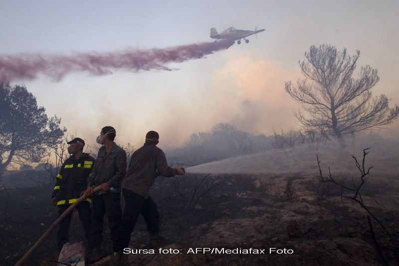 Dezastru in Israel din cauza incendiului in care au murit 42 de oameni