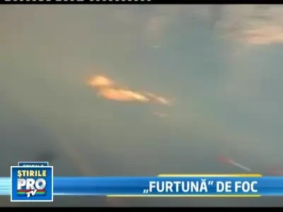 Dezastru in Israel din cauza incendiului in care au murit 42 de oameni