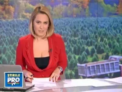 Ca la noi! Bradul de Craciun romanesc, mai scump decat cel din Danemarca