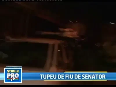 Fiul senatorului Sorina Placinta, retinut pentru tentativa de omor