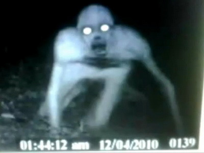 Monstrul din Louisiana. Facatura sau fotografie senzationala? Tu ce zici