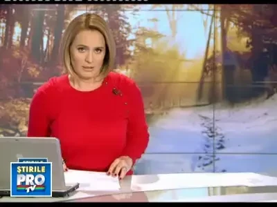 Luminita Calin, fost lector la ASE, a disparut. A fugit de politisti