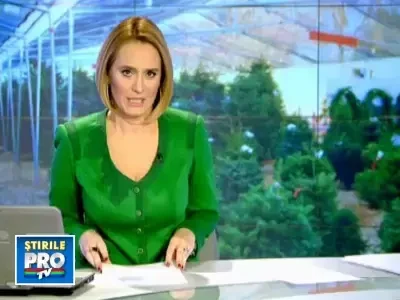 Craciun cu brazi din plastic. Criza a taiat din bugetul romanilor