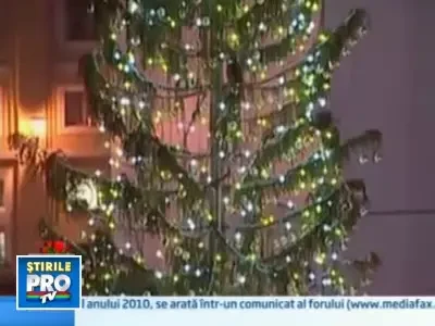 S-au aprins luminile in bradul de Craciun de la Vatican! Papa a lipsit