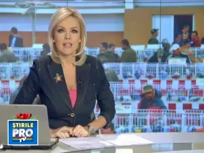 Afacere paguboasa: crescatorii de porumbei si pasari rare merg in pierdere