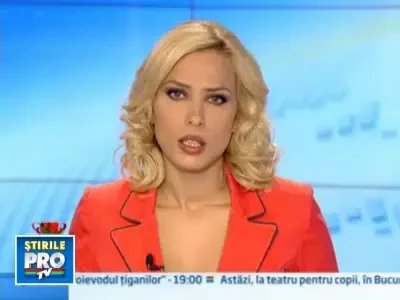 Trenduri in decoratiunile de Craciun: mov, pene colorate, cristal