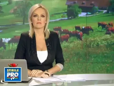 Teapa de la Guvern. Fermierii nu au luat bani pentru lapte de 6 luni