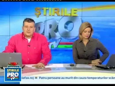 Bradul de la Abu Dhabi: prost-gust de 11 milioane de euro