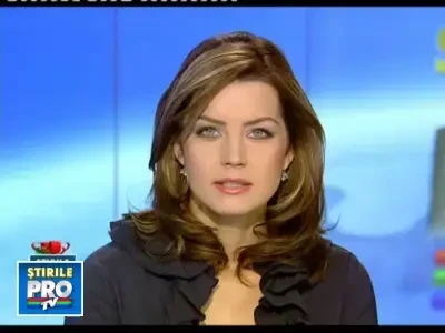 Brazii romanesti taiati ilegal sunt cei mai cautati in piete! Afla de ce