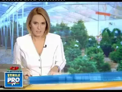 Brazii romanesti taiati ilegal sunt cei mai cautati in piete! Afla de ce