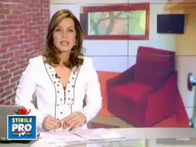 Cei mai rasfatati catei si cele mai adorate pisici! Exemple de lux