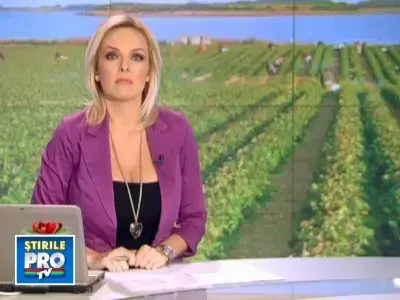 "Ne-au tratat ca pe animale!".50 de femei, tratate umilitor in Germania