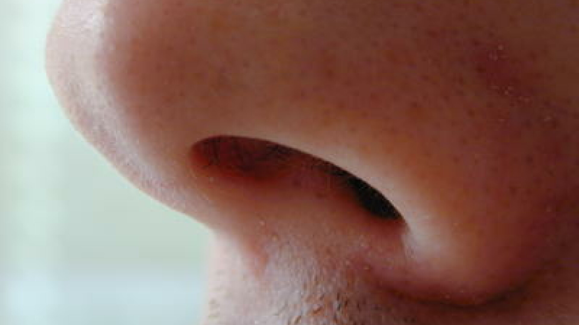 Asa da "tovaras". I-a smuls varful nasului dupa o betie crancena