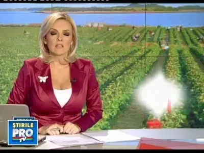 Chinul romanilor plecati la munca: Am stat intr-o camera cu sobolani