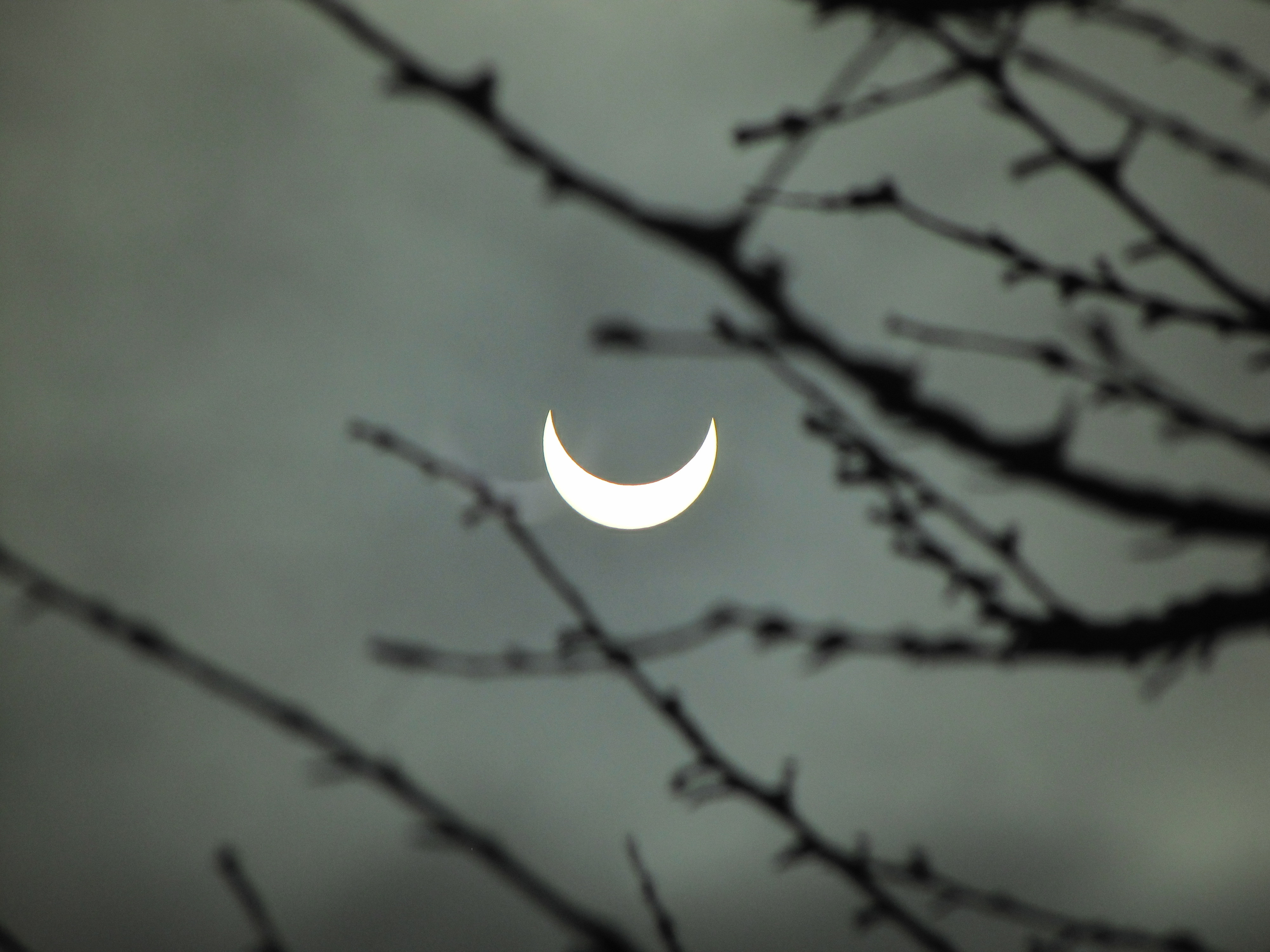 Cum s-a vazut eclipsa in lume. VIDEO