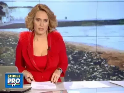 Noi semne ale potopului? Zeci de mii de crabi morti, pe plajele din Anglia