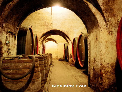 S-a descoperit cea mai veche vinarie din lume. Are 6.100 de ani