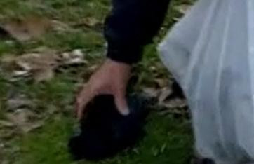 Intai Constanta, acum orasul Roman! Sute de pasari gasite moarte in parc