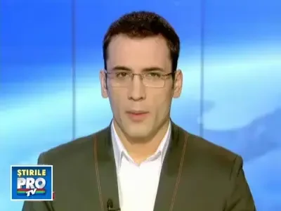 Afacere inedita! Brazii aruncati dupa Craciun, folositi in agricultura