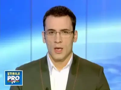 Afacere inedita! Brazii aruncati dupa Craciun, folositi in agricultura