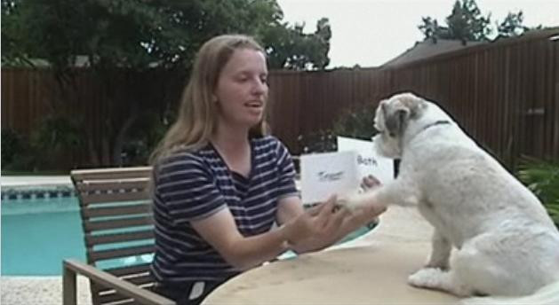 Cel mai destept catel din lume! Stie sa citeasca! Video