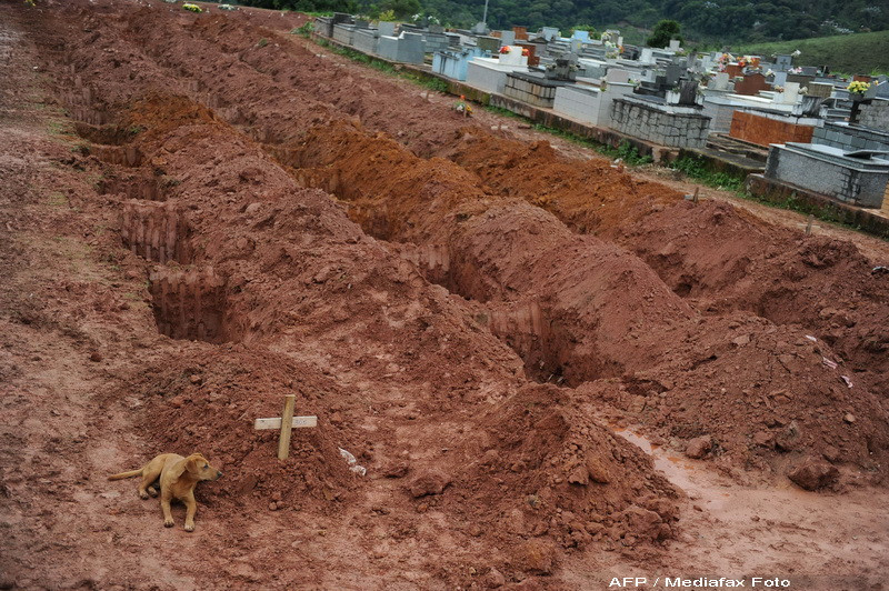 Suflet de caine! Nu pleaca de langa groapa stapanei, moarta in inundatii