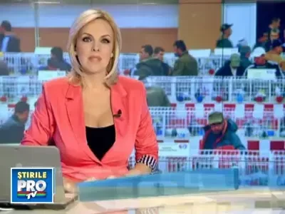 Expozitie de iepuri, sabotata de... gaini! Motatele au asigurat show-ul