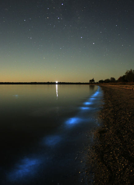 Lac luminat in Australia sau invazie extraterestra? Afla raspunsul! FOTO!
