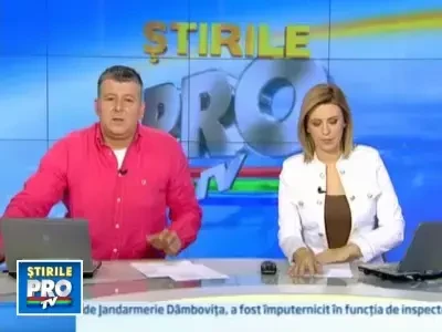 Curiozitatea i-a venit de hac: un caine a ramas intepenit intre doua ziduri