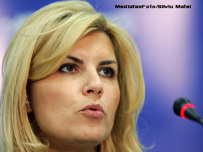 Udrea:Mai bine era brandul PDL in loc sa demolam liderii si sa marginalizam pe cei care au dus greul