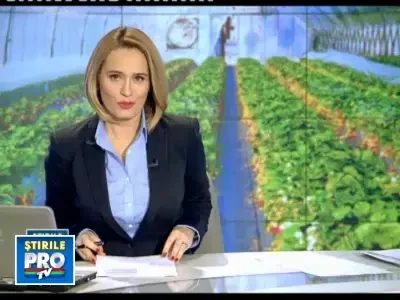 Restaurantele de 5 stele si-au facut propriile sere pentru condimente