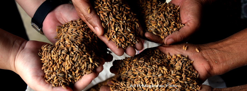 A incercat sa scape de taxe, iar acum e cercetat pentru evaziune fiscala de 2,2 milioane de lei