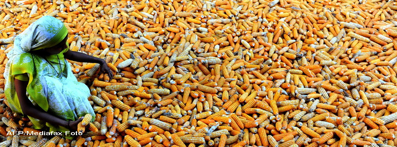 Lumea amenintata de criza alimentara. Banca Mondiala: Opriti saracia